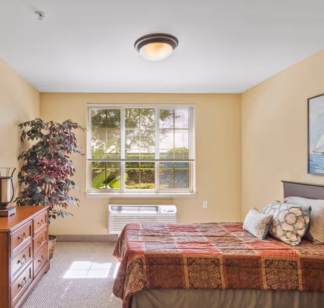 A bright bedroom with a large window letting in natural light. The room features a bed with a patterned brown and red bedspread and several pillows. There is a wooden dresser with a lamp and a decorative plant in the corner. The walls are painted a soft beige color, and a framed picture hangs above the bed.