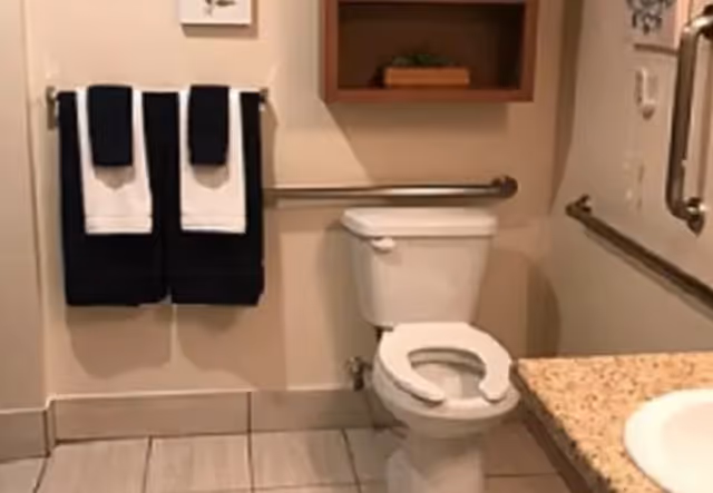 Accessible bathroom with a toilet, grab bars, towel rack, and a sink countertop.