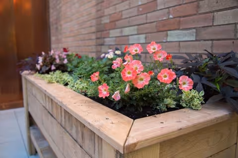 Wooden planter box filled with pink flowers and greenery set against a brick wall.