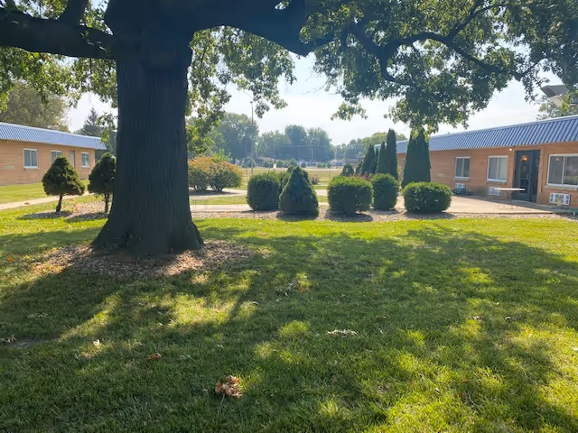 Sunlit courtyard with a large oak tree, neatly trimmed shrubs, and low brick single-story buildings in the background.