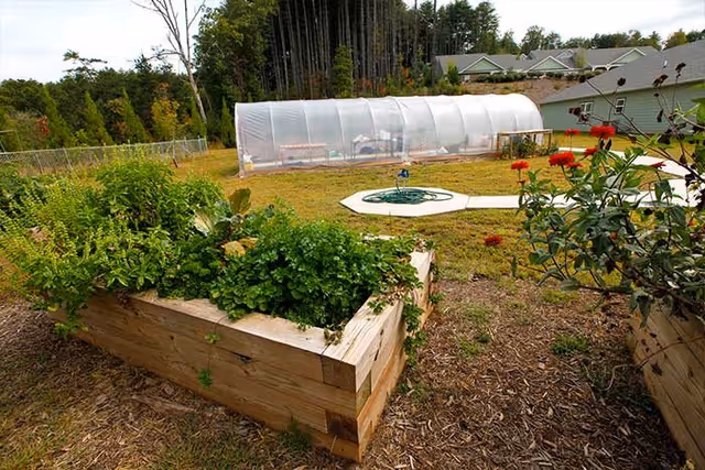 Outdoor garden area with raised wooden planter boxes filled with green plants and flowers. In the background, there is a large white greenhouse structure and some residential buildings surrounded by trees.