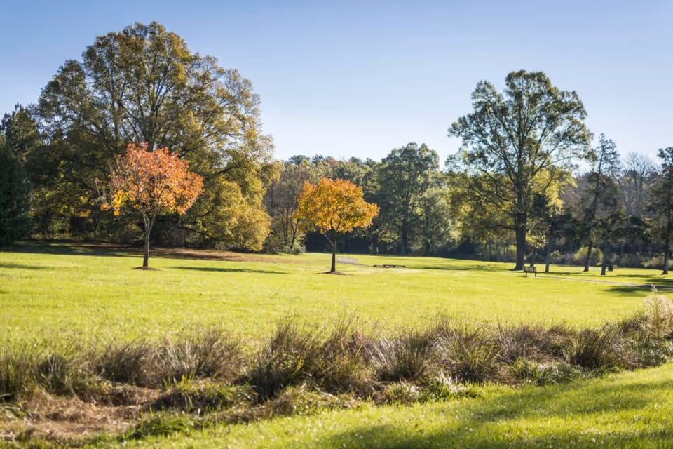 A spacious green lawn with scattered trees, some with autumn-colored leaves, under a clear blue sky. There are benches and a walking path in the background, suggesting a peaceful outdoor area.