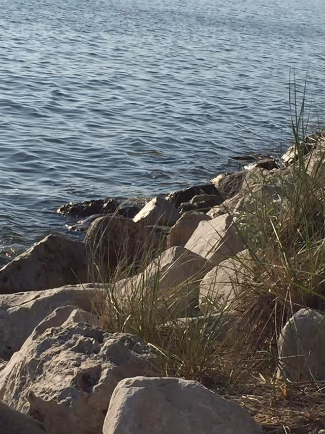 Rocky shoreline with grasses in the foreground and rippling water beyond.