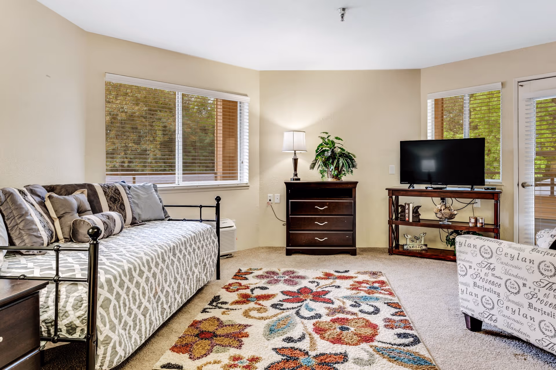Bright living area with a daybed and multiple pillows, a colorful floral rug, a dresser with a lamp and plant, and a TV on a stand beneath large windows.