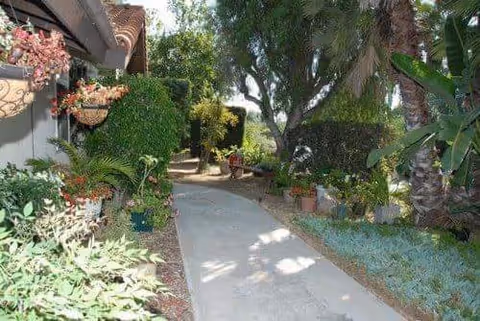 A paved walkway surrounded by lush greenery and various plants, including palm trees and flowering bushes, with a building wall on the left side featuring hanging flower pots.