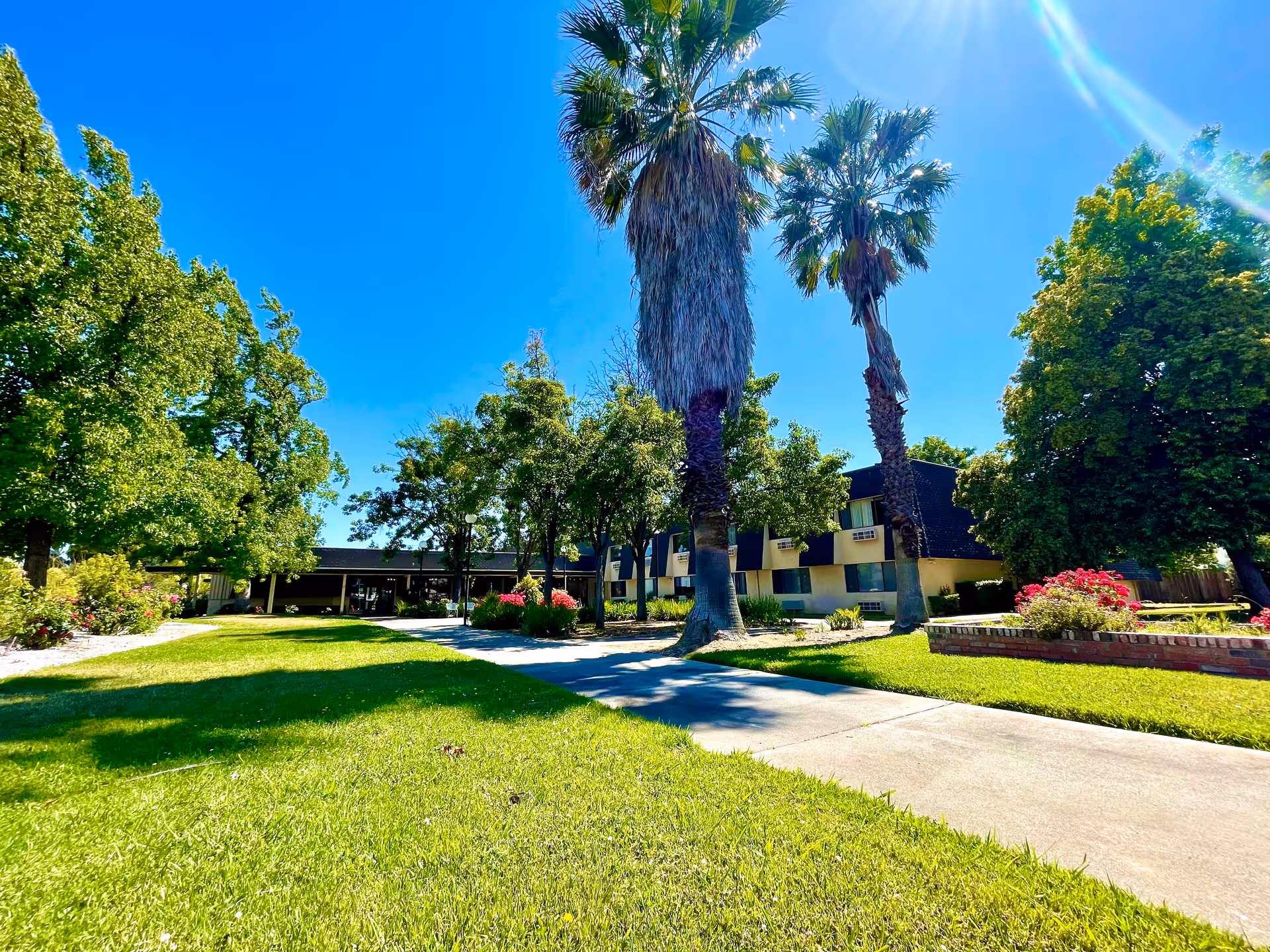 A sunny outdoor view of Parkrose Gardens of Fairfield featuring a well-maintained lawn, tall palm trees, various other green trees, colorful flower beds, and a two-story building in the background under a clear blue sky.