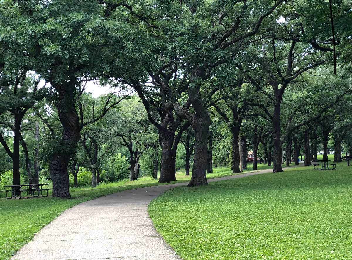 A paved walking path winding through a green park area with large leafy trees providing shade. Picnic tables are scattered on the grass near the trees.