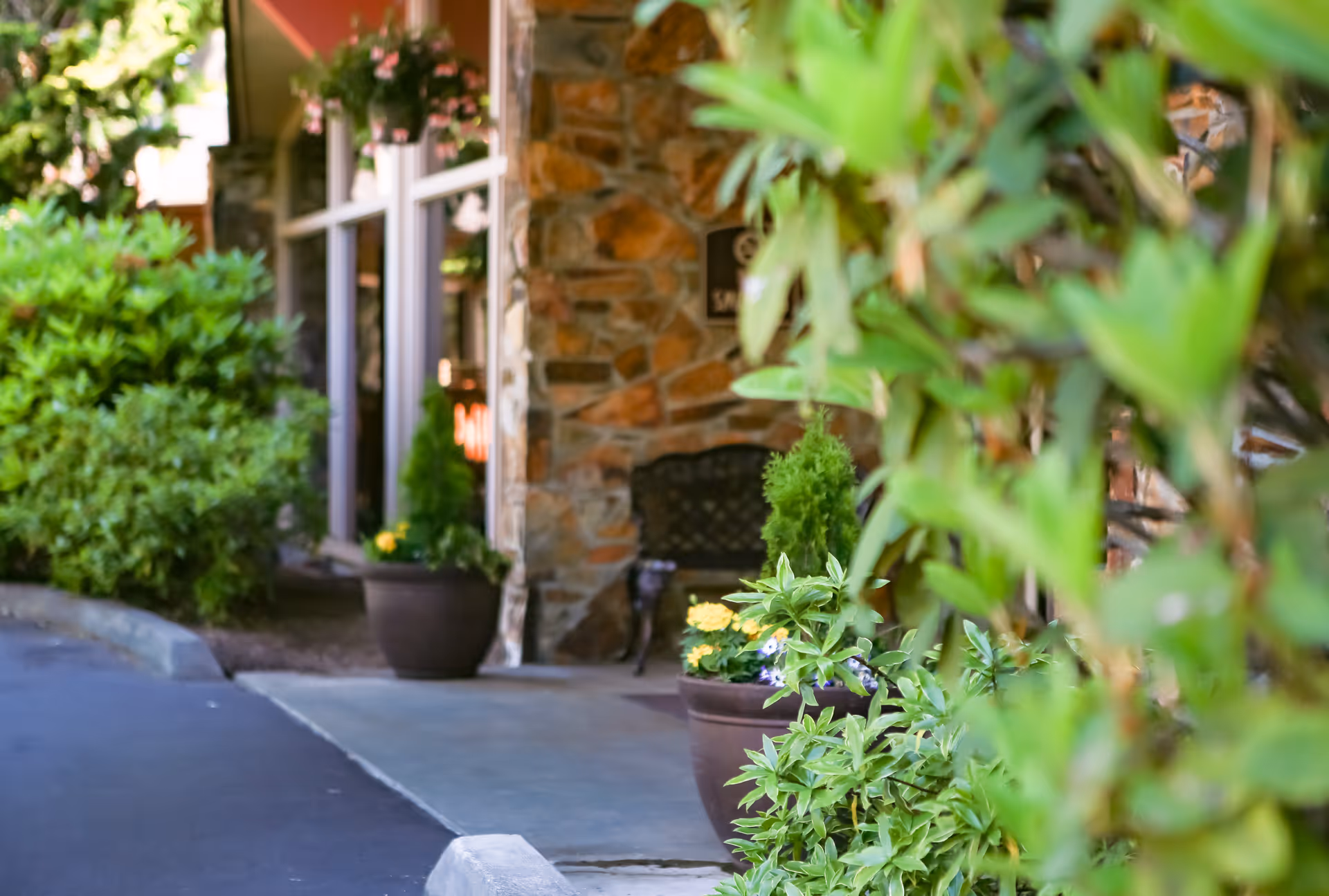 Entrance walkway and stone facade with potted plants and greenery in front.