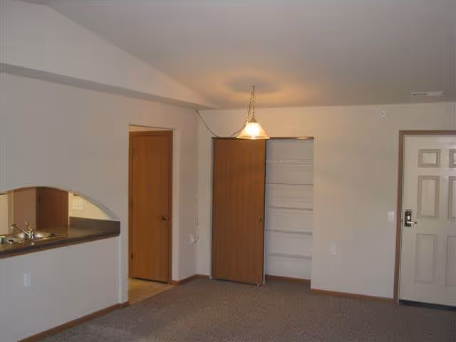 Interior view of an apartment showing a small kitchen pass-through window with a sink, a carpeted living area, a closet with sliding wooden doors, a hanging light fixture, and a closed entrance door.
