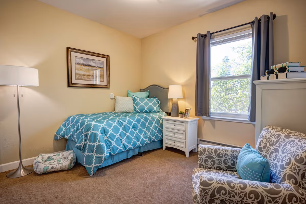 A cozy bedroom with a single bed covered in a blue and white patterned comforter and pillows. Next to the bed is a white nightstand with a lamp, a small plant, and a framed photo. A window with gray curtains lets in natural light. There is a patterned armchair with a blue pillow and a white dresser with books on top. A floor lamp and a pet bed are also visible in the room.