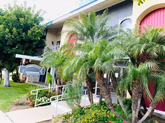 Exterior view of Cambridge Court Assisted Living facility showing a building entrance surrounded by palm trees and other greenery, with a sidewalk and a sign displaying the facility name and phone number.
