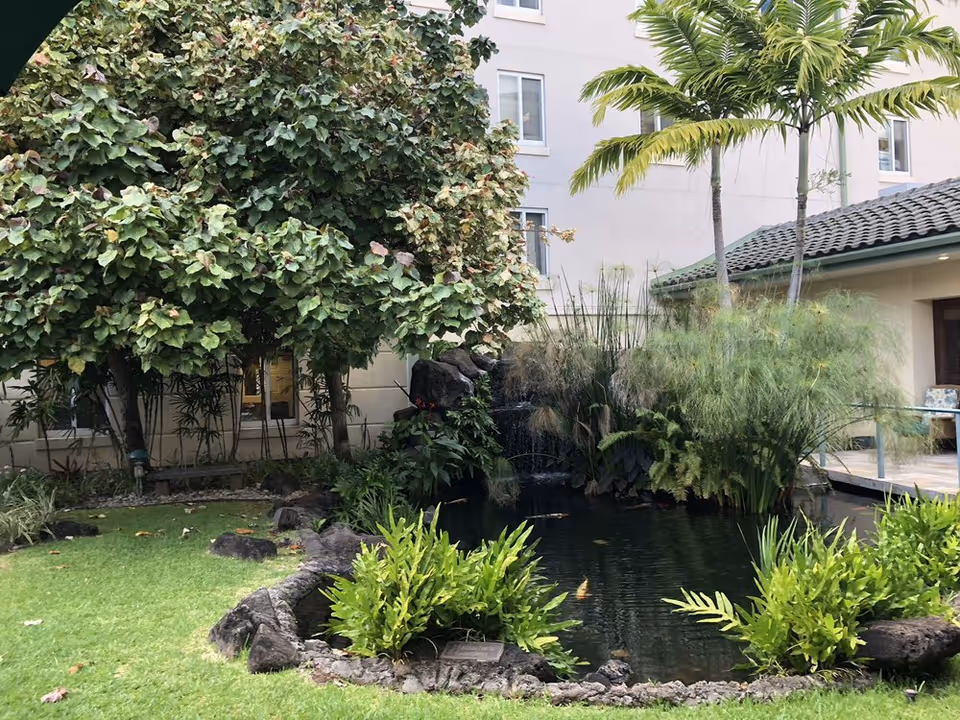 Courtyard garden with a koi pond, small waterfall, tropical plants and the adjacent building.