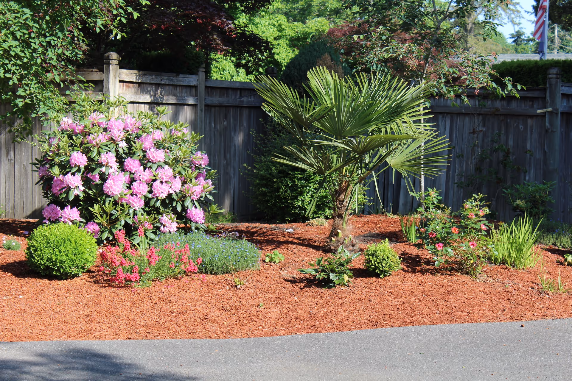A landscaped garden area with various plants including a large bush with pink flowers, a small palm tree, and other green shrubs and flowering plants. The garden is bordered by a wooden fence and has a paved walkway in front.