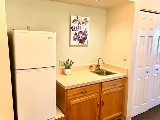 Small kitchenette area with a white refrigerator on the left, a countertop with a small sink and faucet, wooden cabinets below, and a wall decoration featuring purple flowers and the word 'HOME'. There is also a small potted plant on the counter and a double-door closet on the right.