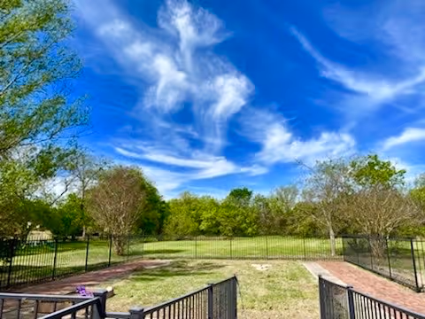 View from a patio of a fenced grassy yard with trees under a vivid blue sky and wispy clouds.