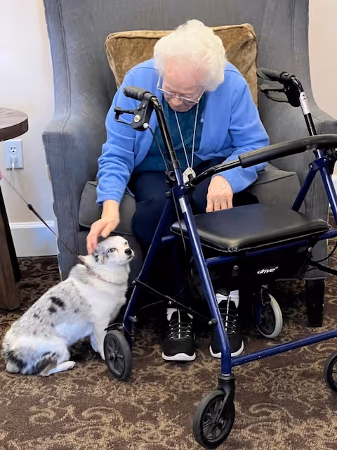 An elderly woman with white hair wearing a blue sweater sits in a gray armchair, petting a small white and gray dog next to her. A blue walker is positioned in front of her on a patterned carpeted floor.