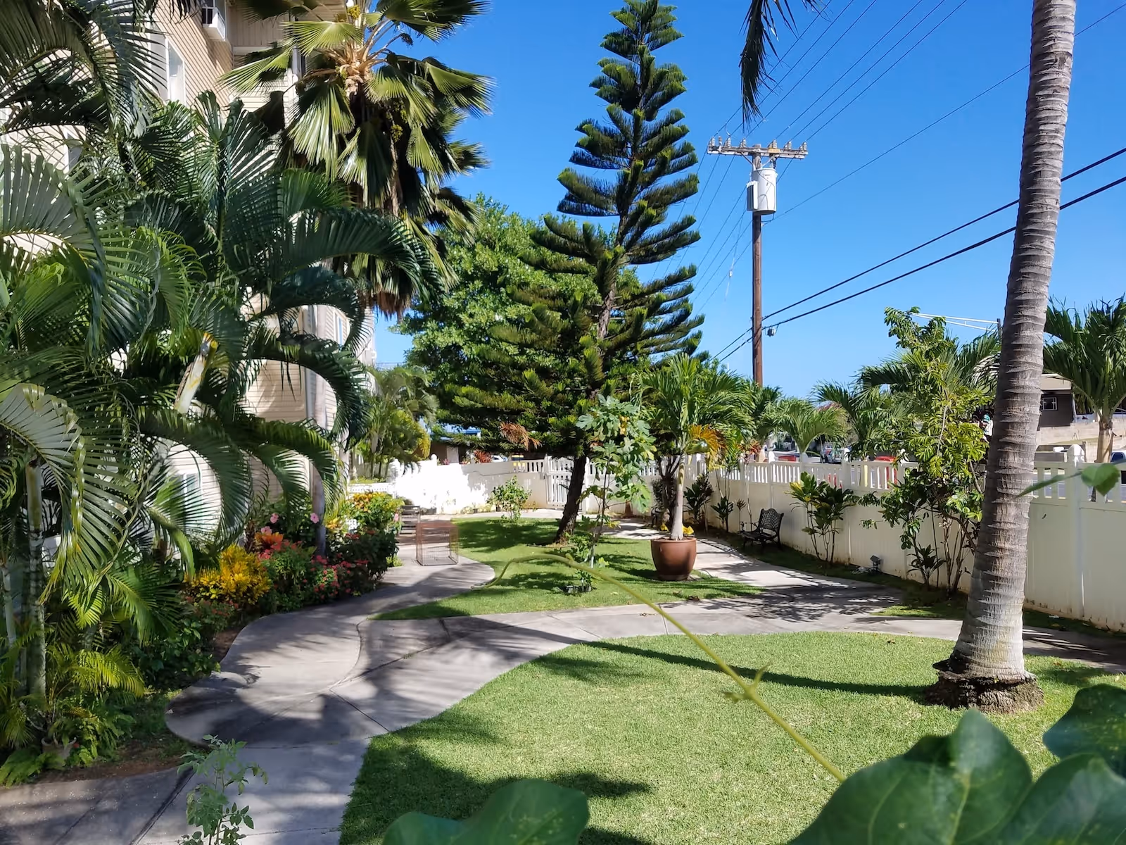 A sunny outdoor garden area at Roselani Place with a paved walkway curving through green grass, surrounded by various palm trees, potted plants, and tropical foliage. A white fence lines the right side, and a building with balconies is partially visible on the left.