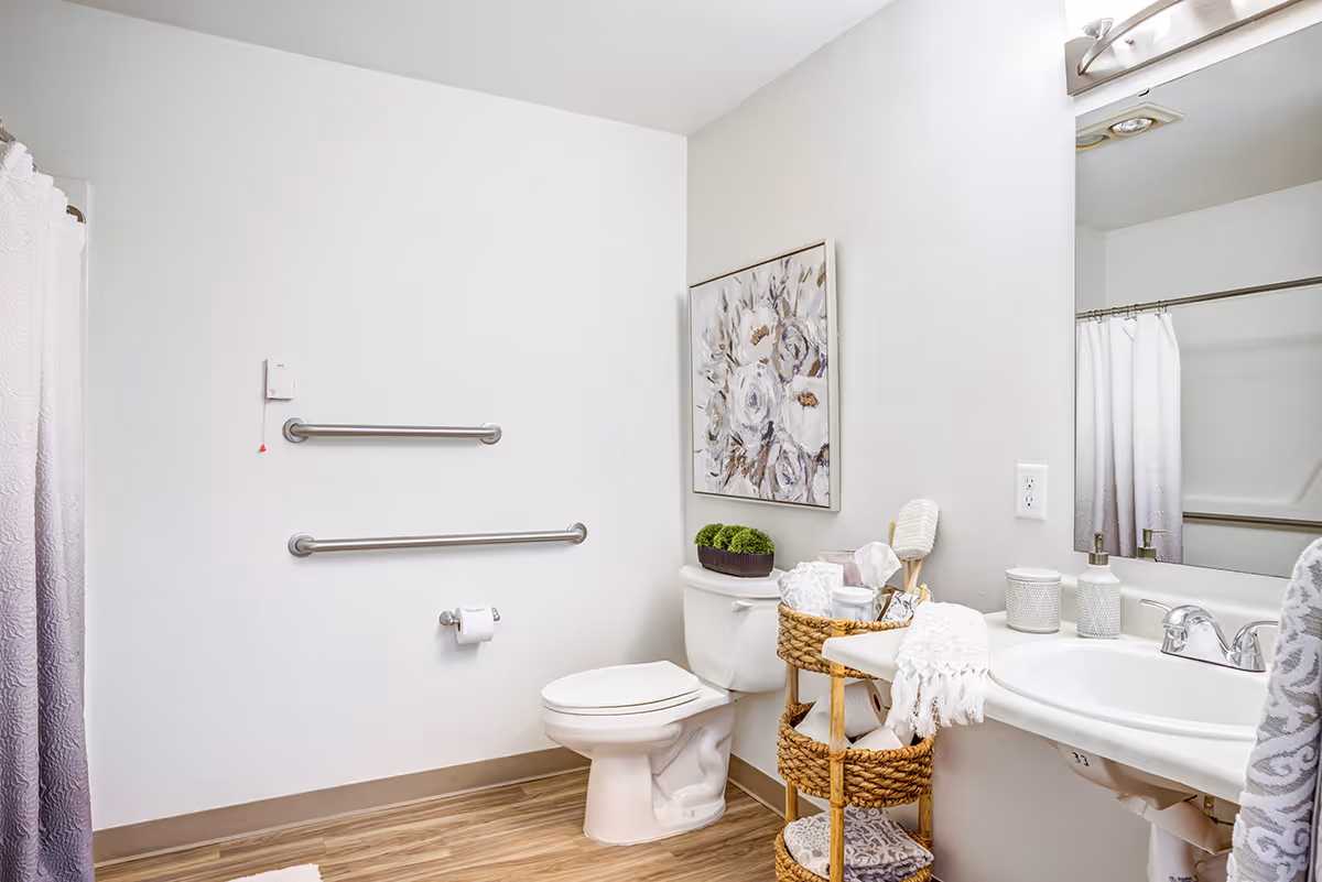 Bright accessible bathroom with toilet, sink, grab bars, shower curtain and decorative accents.