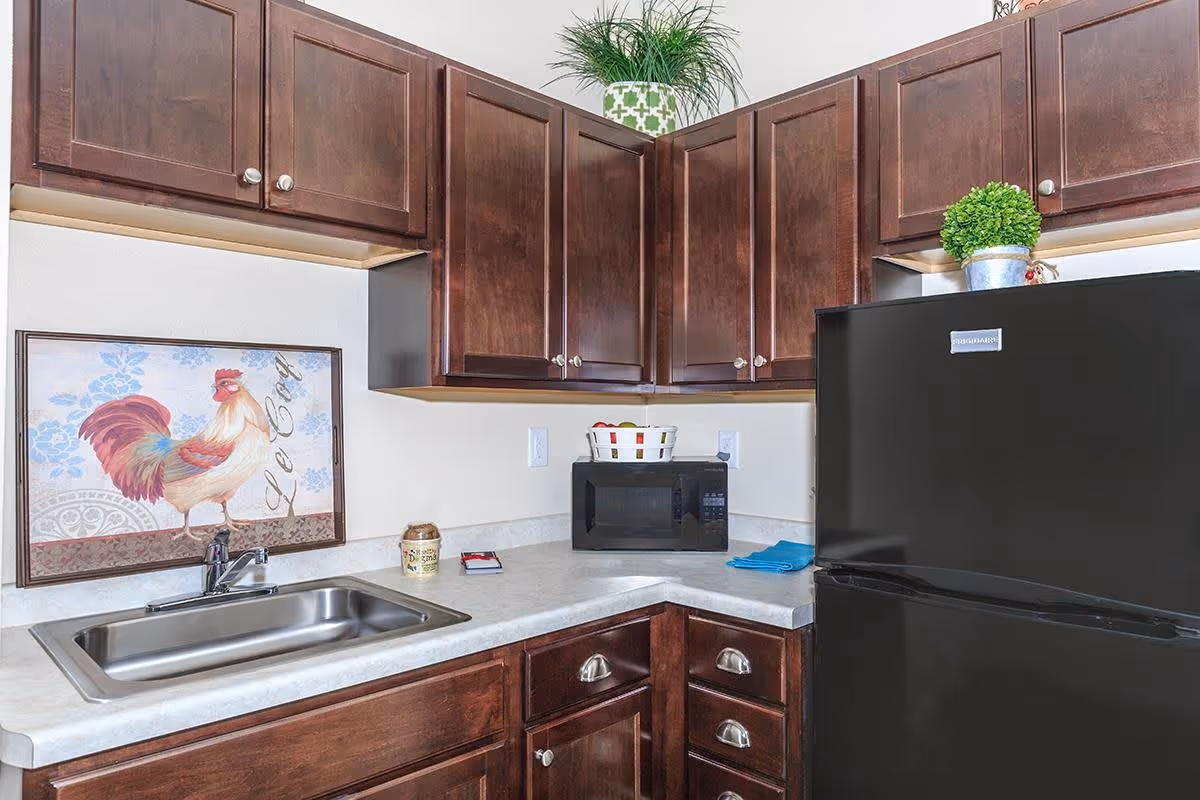 A kitchen corner with dark wooden cabinets, a stainless steel sink, a black refrigerator, and a black microwave on a light-colored countertop. There are two small potted plants on top of the cabinets and a framed picture of a rooster on the wall above the sink.