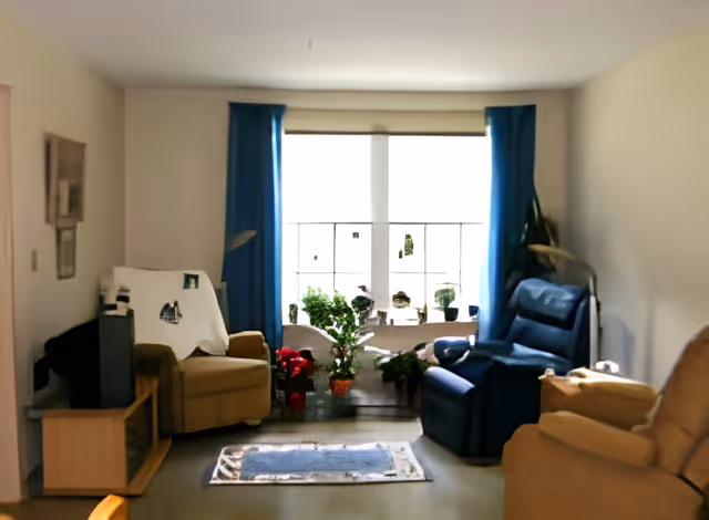 A cozy living room with three armchairs arranged around a small rug. There is a large window with blue curtains letting in natural light, and several potted plants are placed on the windowsill and floor. A small wooden TV stand with a television is positioned on the left side of the room.
