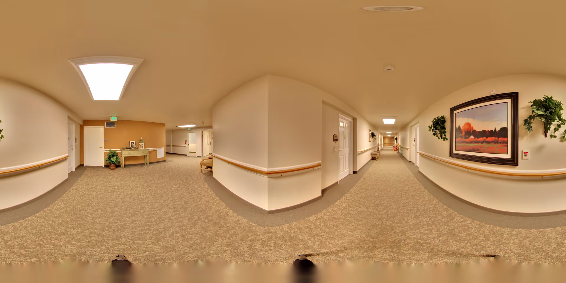 Wide-angle view of a long, carpeted hallway in a senior living facility with beige walls and wooden handrails on both sides. The hallway is decorated with framed artwork and green plants mounted on the walls. There is a table with decorative items and a potted plant near the end of the hallway. Ceiling lights illuminate the corridor evenly.