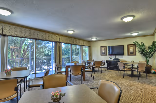 A well-lit dining room with several tables and chairs arranged neatly. Large windows on one side let in natural light and offer a view of trees outside. The room has carpeted flooring, ceiling lights, a flat-screen TV mounted on the wall, framed artwork, and a large potted plant in the corner.