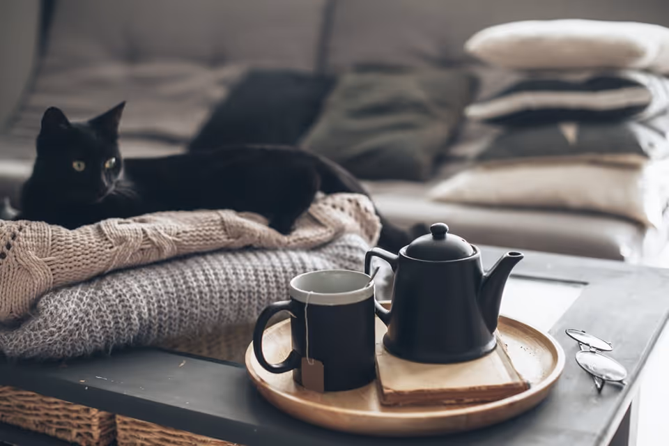 A black cat lounges on stacked knit blankets on a sofa beside a coffee table with a teapot, mug on a wooden tray, and a pair of eyeglasses.