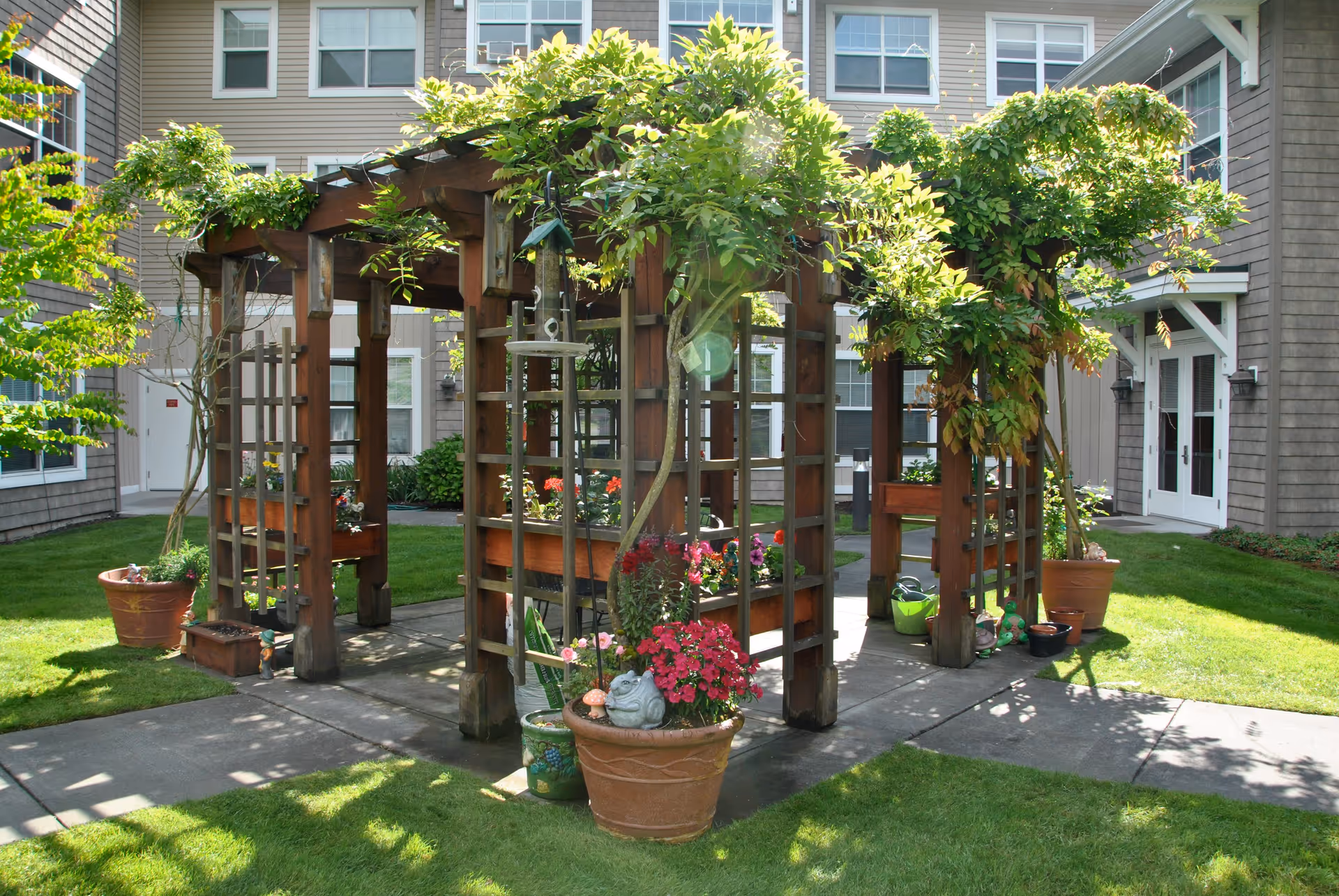 A wooden pergola structure in a courtyard garden area with green leafy vines growing on it. There are several potted plants with colorful flowers around the pergola. The surrounding area has well-maintained green grass and concrete pathways. The background shows the exterior walls and windows of a multi-story building.