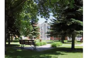 A shaded courtyard with a bench, walkway, grass and trees in front of a multi-story residential building.