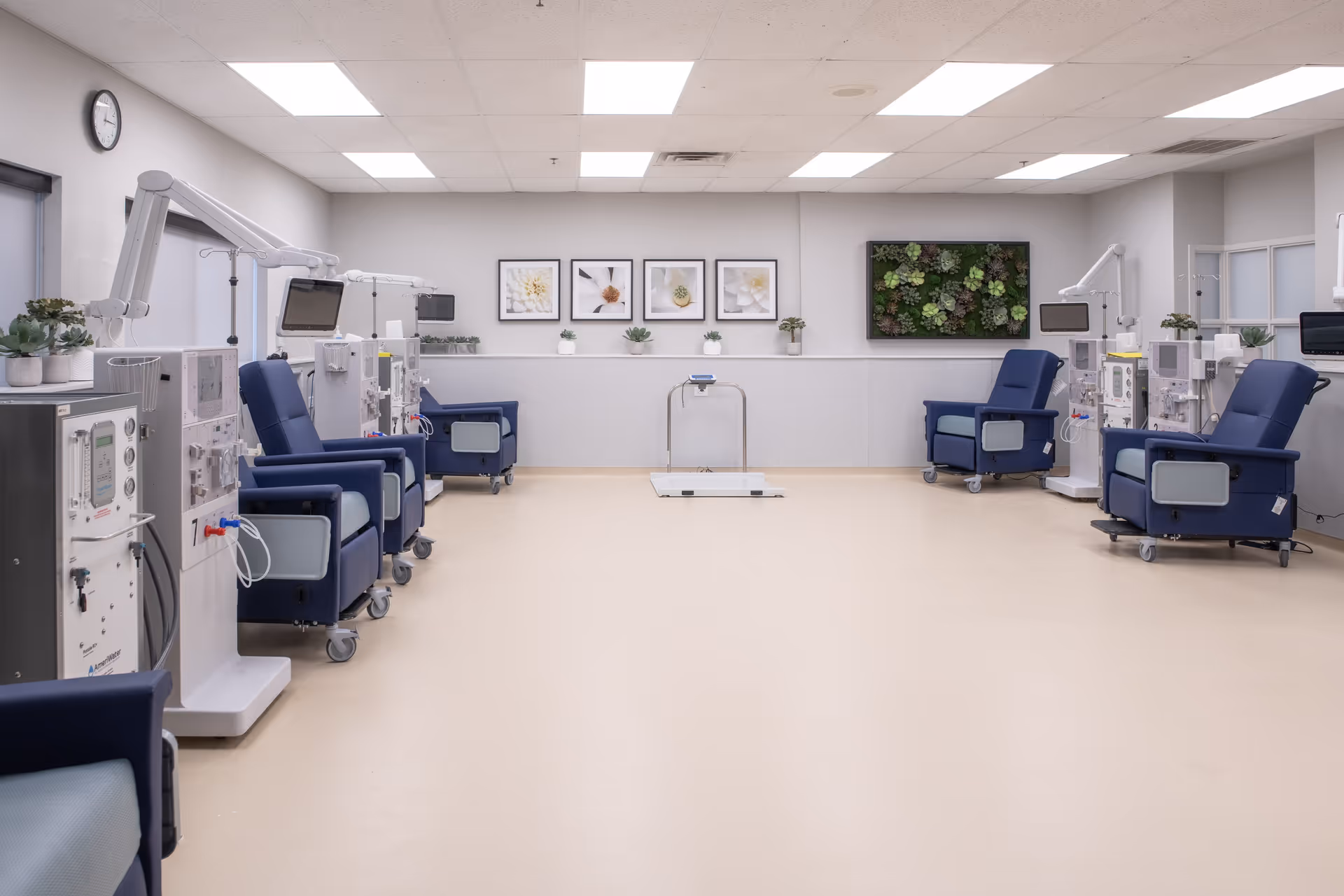 A clean and well-lit medical treatment room with multiple dialysis chairs and dialysis machines arranged along the walls. The room has light-colored flooring and walls, with framed botanical artwork and a green plant wall decoration. There are small potted plants on a shelf along the back wall, and a clock is visible on the left wall.