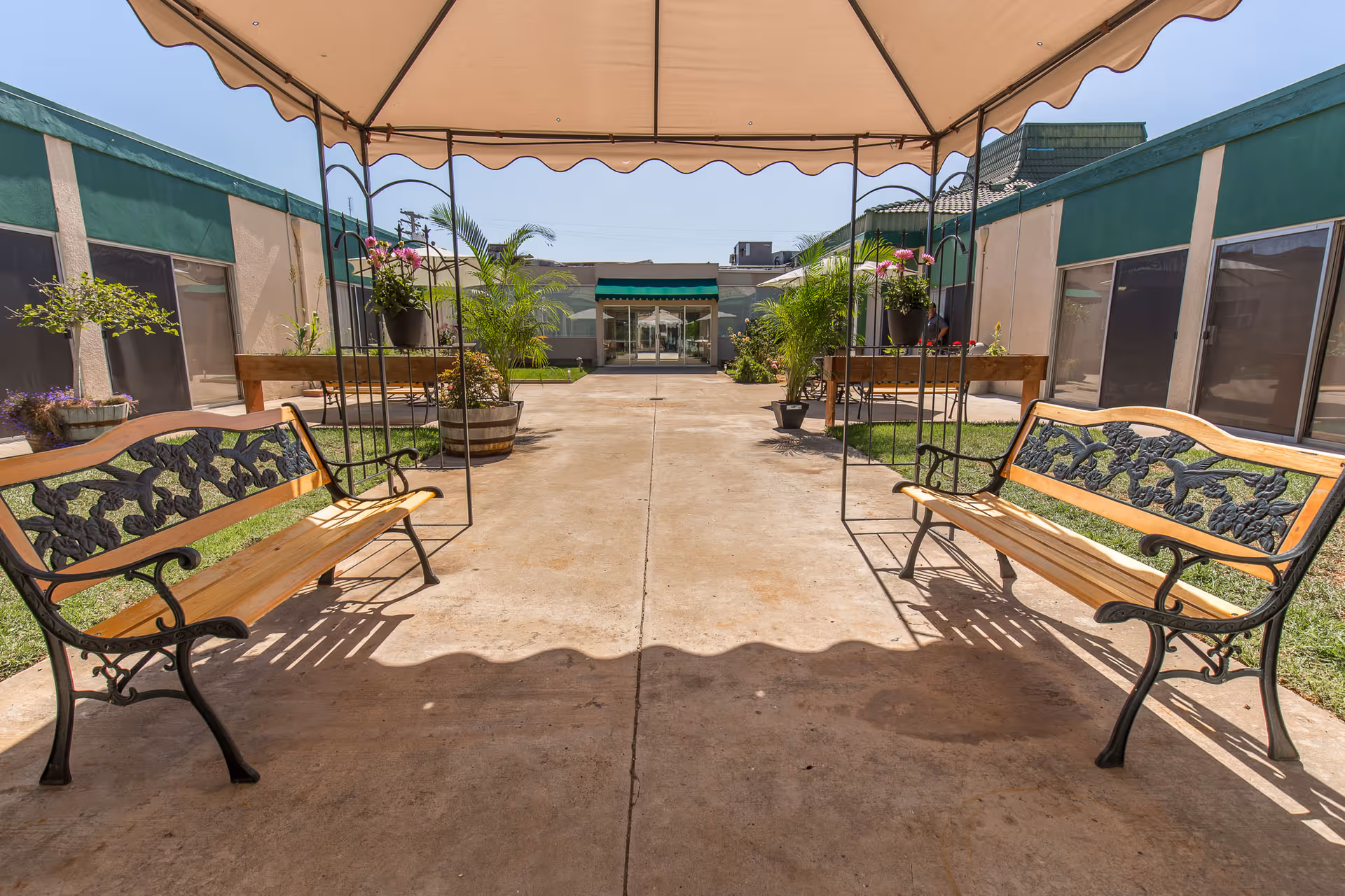 Shaded outdoor courtyard with two wooden benches under a canopy, potted plants, and surrounding single-story building.