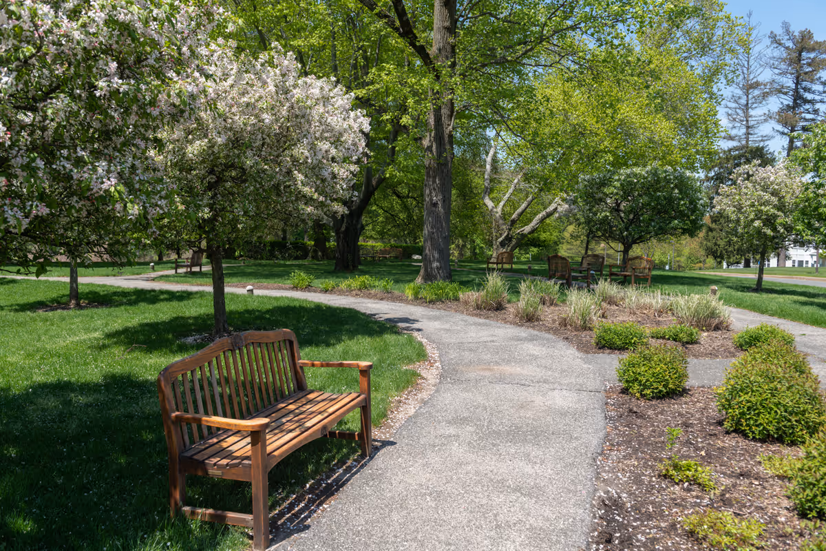 A peaceful outdoor garden area with a paved walking path winding through green grass and landscaped bushes. There are several blossoming trees with white flowers and wooden benches along the path. In the background, there are more trees and a few wooden chairs arranged in a seating area under the shade.