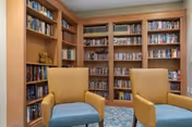 Small library room with built-in wooden bookshelves filled with books and two mustard-yellow armchairs with blue cushions on a patterned carpet.