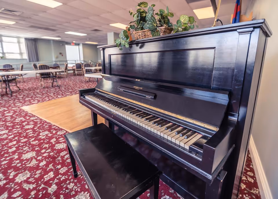 A black upright piano with a matching bench in a room with red patterned carpet and several tables and chairs in the background. There is a plant on top of the piano and large windows letting in natural light.
