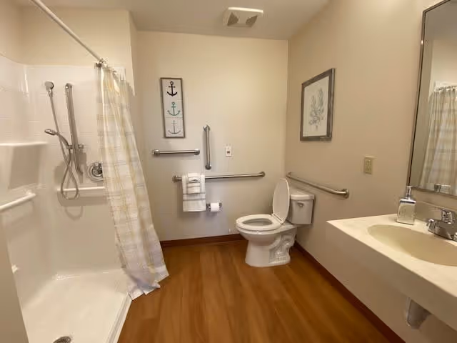 A bathroom with a walk-in shower featuring a handheld showerhead and grab bars, a toilet with grab bars on both sides, a sink with a soap dispenser, a large mirror, and wall decorations including framed pictures of anchors and a botanical print. The floor is wood-style and the walls are painted beige.