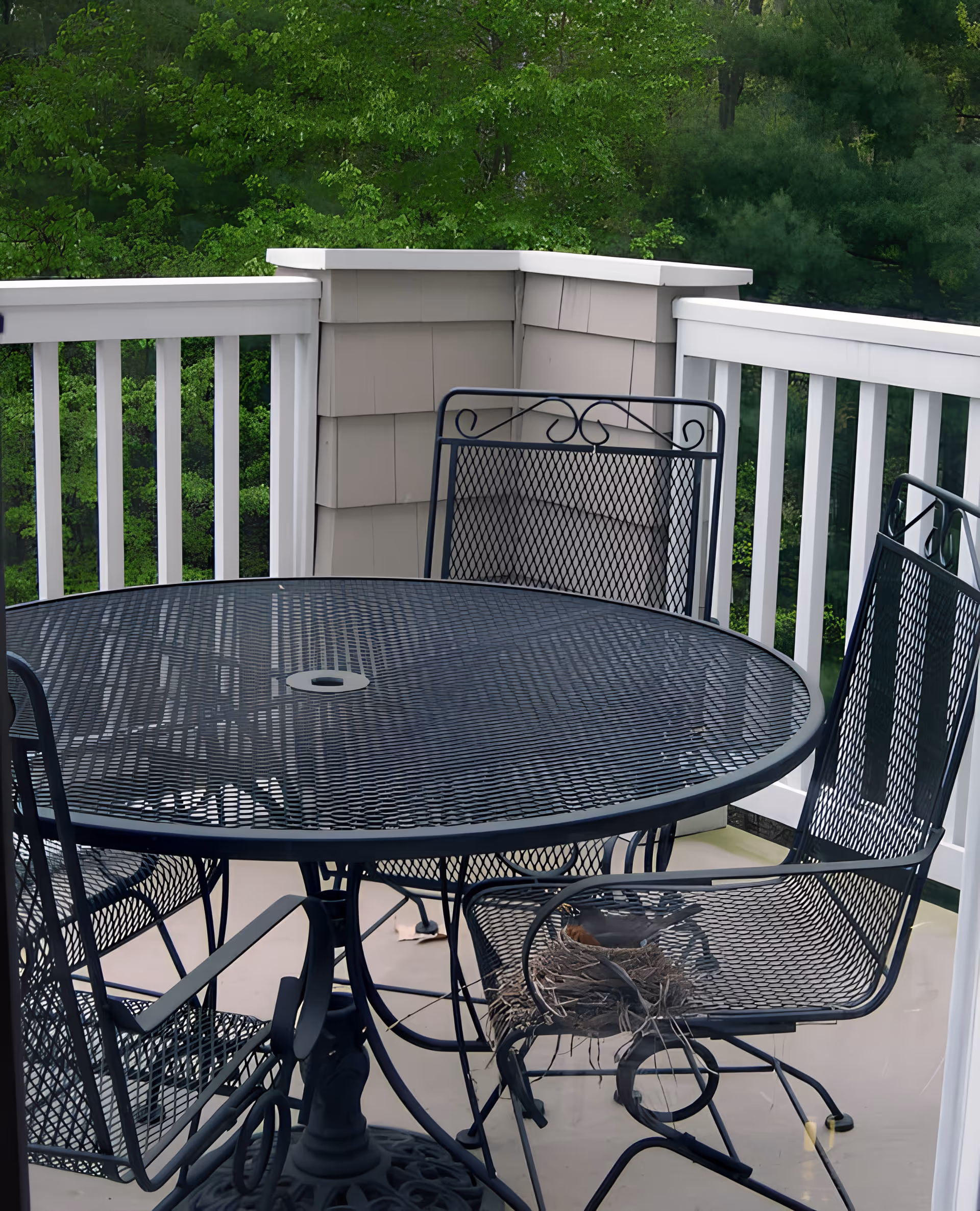 Outdoor balcony with a black metal round table and four matching chairs. One chair has a bird's nest with a bird sitting in it. The balcony has white railings and is surrounded by green trees.