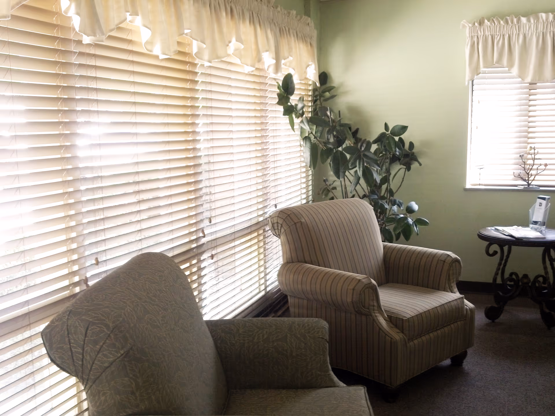 A cozy sitting area with two upholstered armchairs placed near windows with white blinds and valances. A green leafy plant is positioned between the chairs, and a small round table with decorative legs holds some papers and a small decorative item. The walls are painted light green.