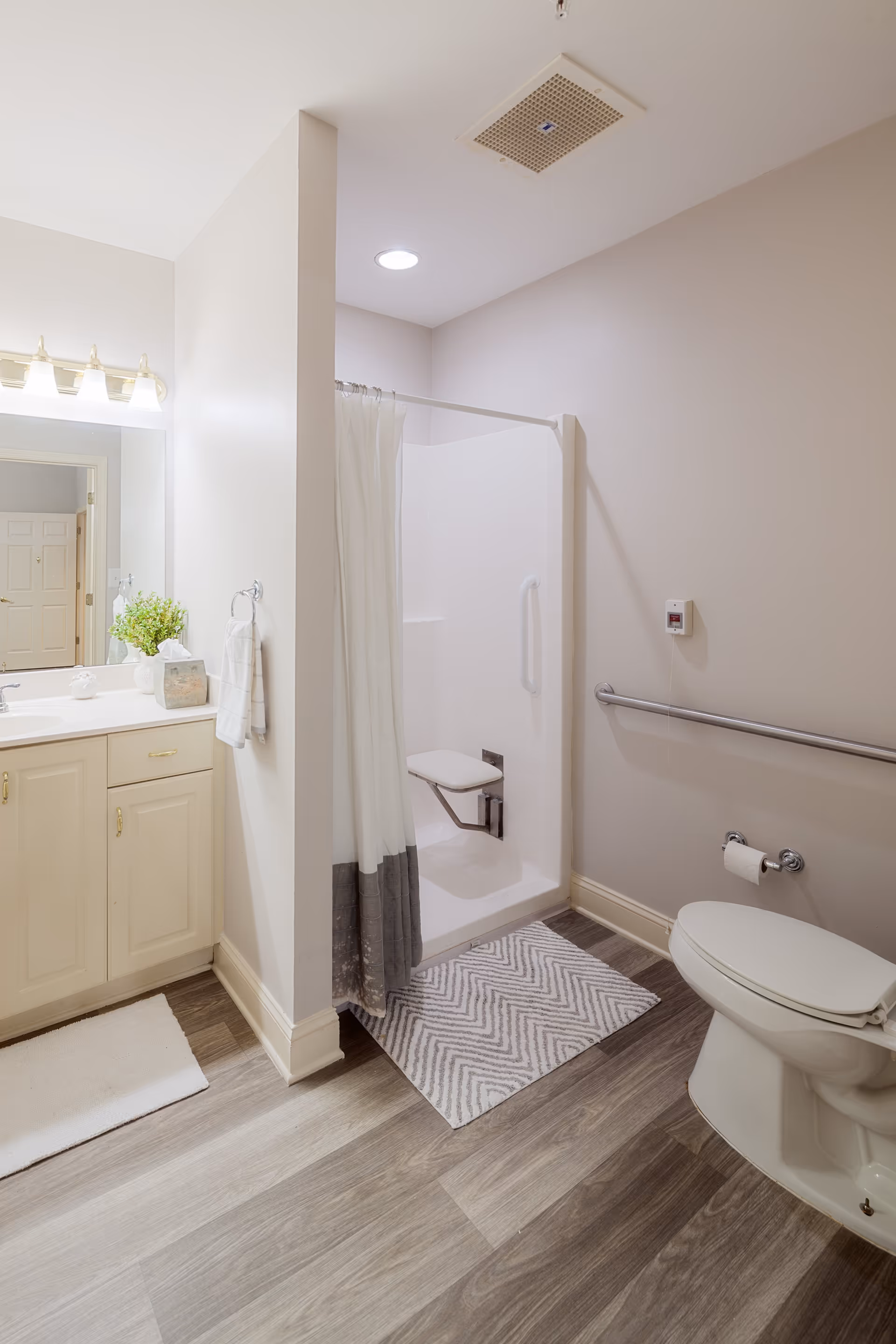 A clean and accessible bathroom featuring a walk-in shower with a fold-down seat and grab bars, a toilet with a grab bar beside it, a vanity with a sink, a mirror, and a small plant on the counter. The floor has wood-like vinyl planks and two bath mats.