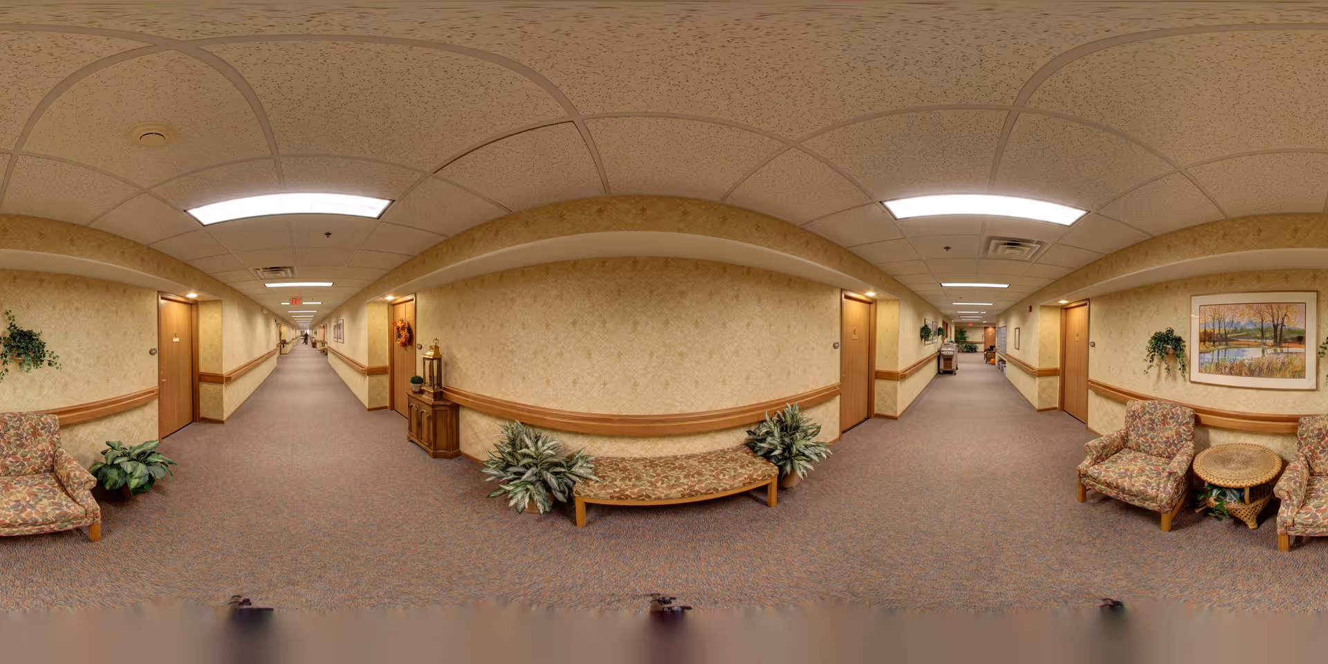 A long, carpeted hallway in a senior living facility with beige walls and wooden trim. The hallway is lined with closed wooden doors on both sides, decorated with plants, framed artwork, and cushioned chairs. The ceiling has recessed lighting panels, and the space appears clean and well-maintained.