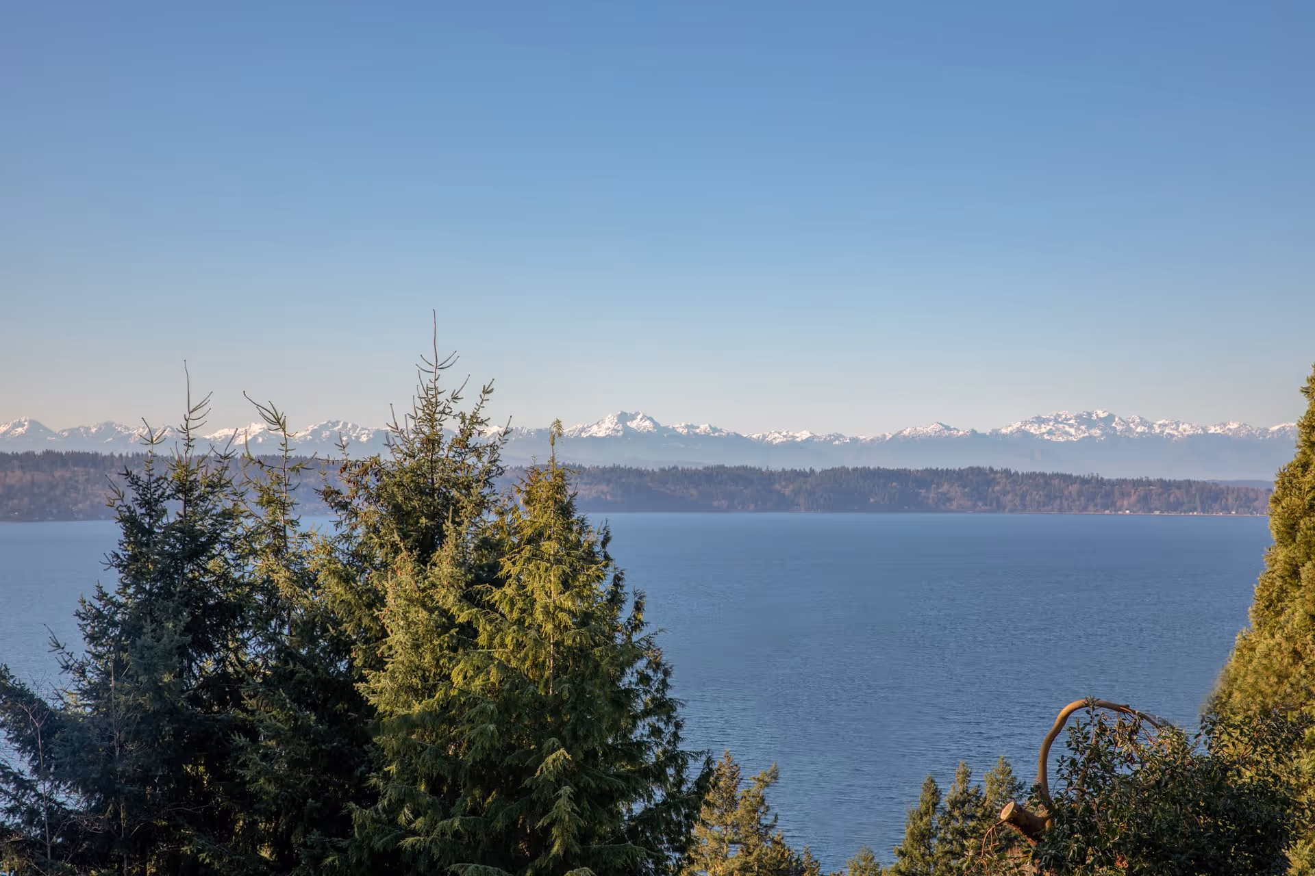 View of a large body of water with evergreen trees in the foreground and snow-capped mountains in the distance under a clear blue sky.