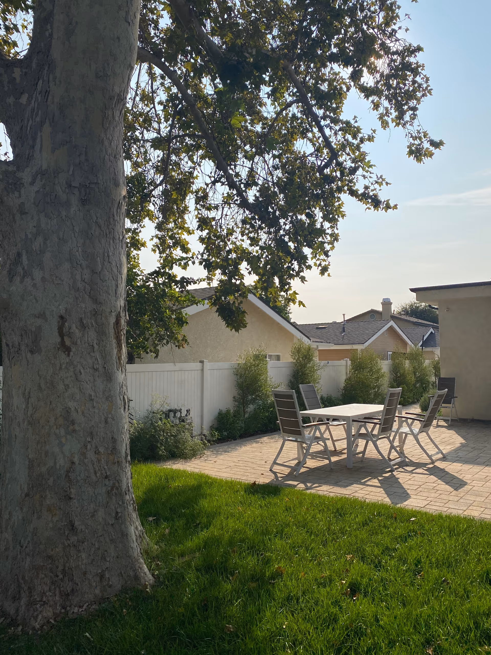 Outdoor patio area with a large tree in the foreground, green grass, a paved section with a white table and four chairs, and a white fence with bushes along it. Residential houses are visible in the background under a clear sky.
