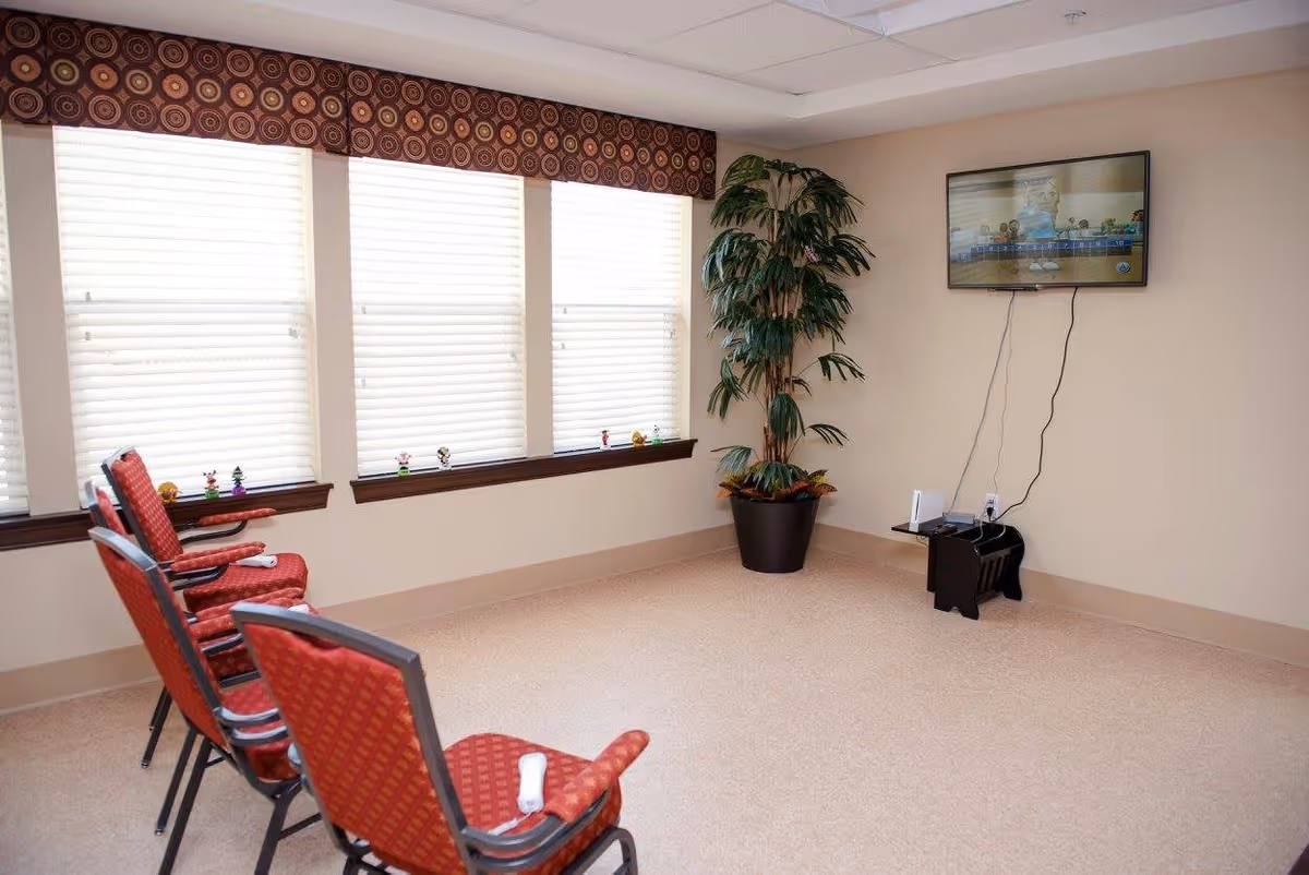 A small room with four red cushioned chairs arranged in two rows facing a wall-mounted flat screen TV. The TV is displaying a bowling game. There is a large potted plant in the corner near the TV. Three large windows with white blinds and a decorative valance let in natural light. Small figurines are placed on the window sill.