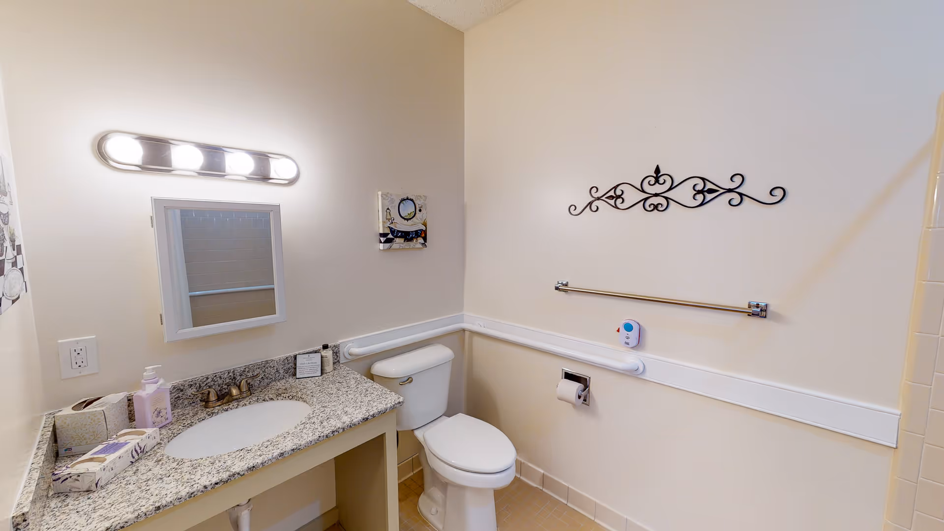 Clean accessible bathroom with a granite vanity and sink, toilet, grab bars, and wall decor.