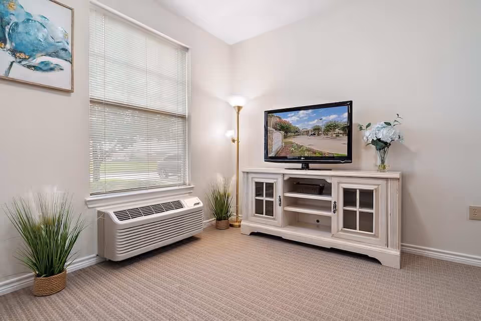 Small living room corner with a TV on a white media cabinet, a floor lamp, window with blinds, and potted plants.
