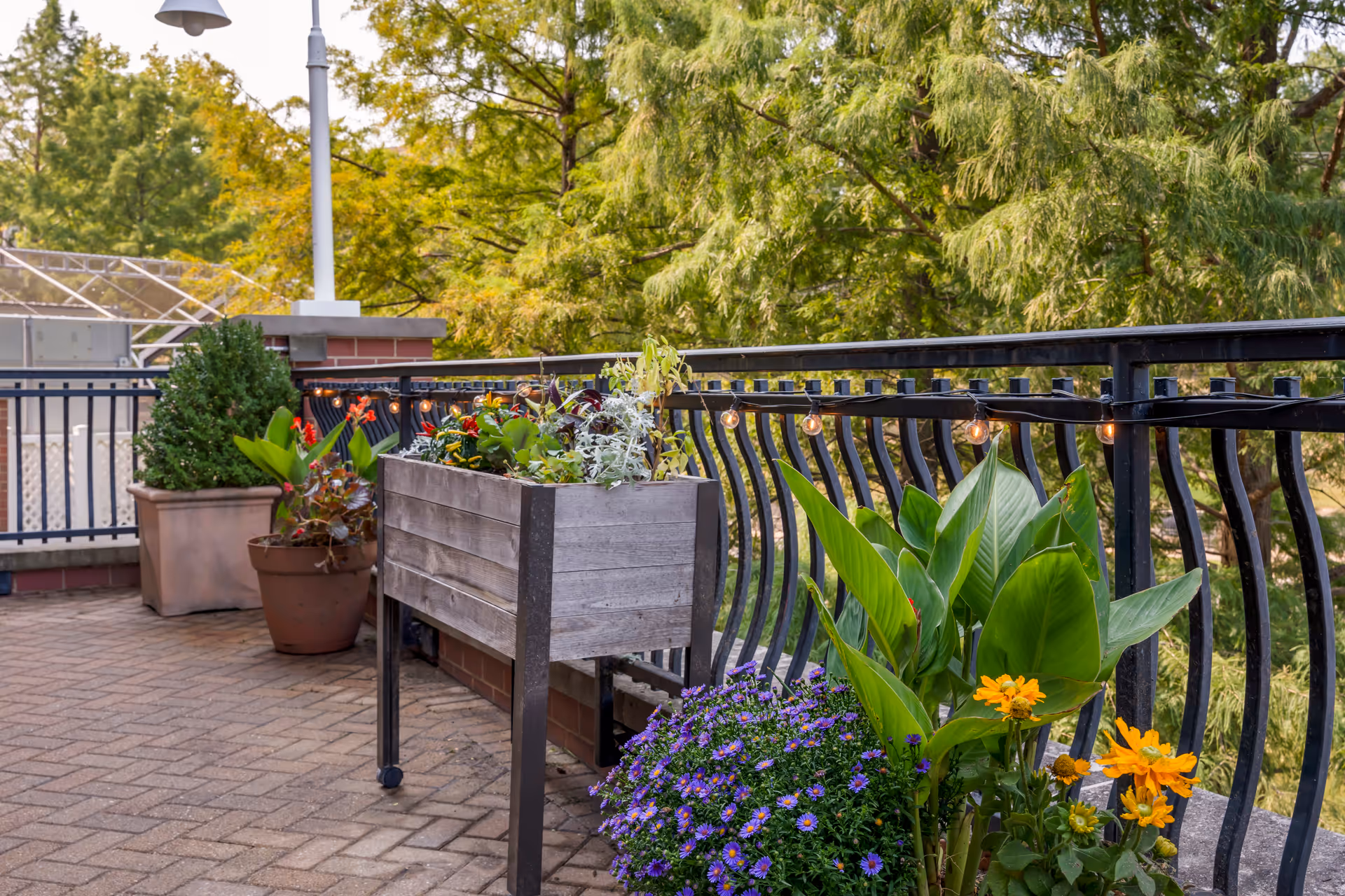 Outdoor patio area with potted plants and flowers along a black metal railing. The patio has brick flooring and is surrounded by lush green trees. String lights are hung along the railing.