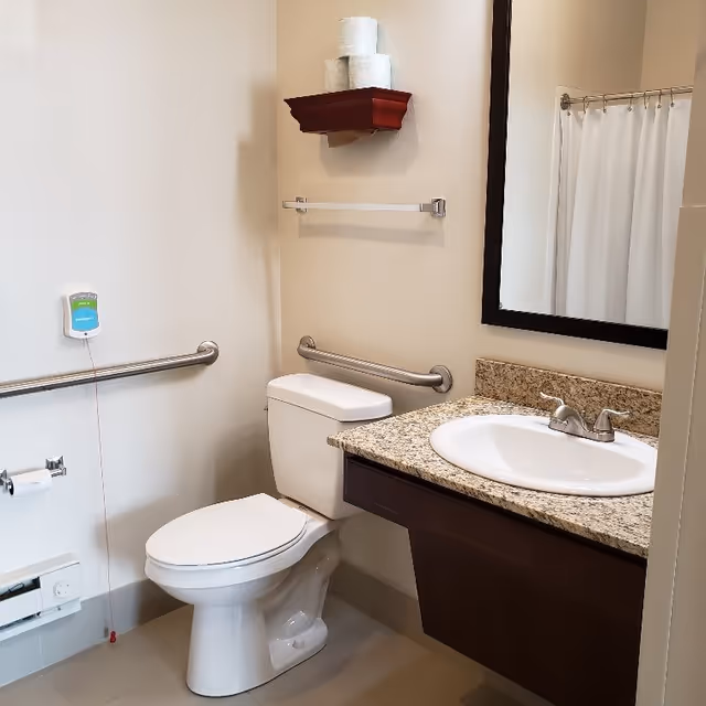 Accessible bathroom featuring a toilet with grab bars, a sink with granite countertop and mirror, and a shower curtain.