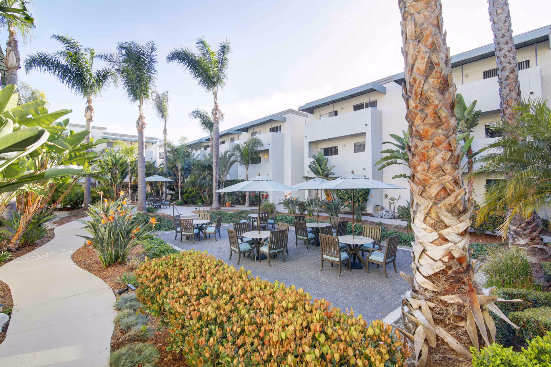 Outdoor patio area at Coastal Heights Senior Living with multiple tables and chairs under umbrellas, surrounded by palm trees and lush greenery, with a paved walkway and white multi-story buildings in the background.