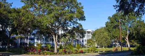 Exterior view of Aviva Senior Living with trees, shrubs, and a glass-front building.