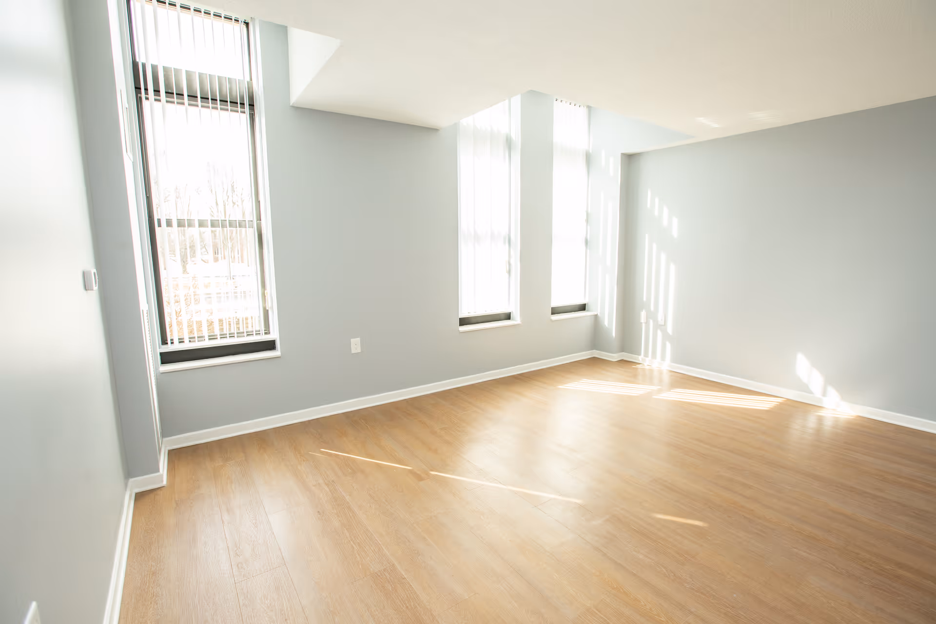 Empty room with light wood flooring and light gray walls featuring three tall windows with vertical blinds allowing sunlight to stream in.