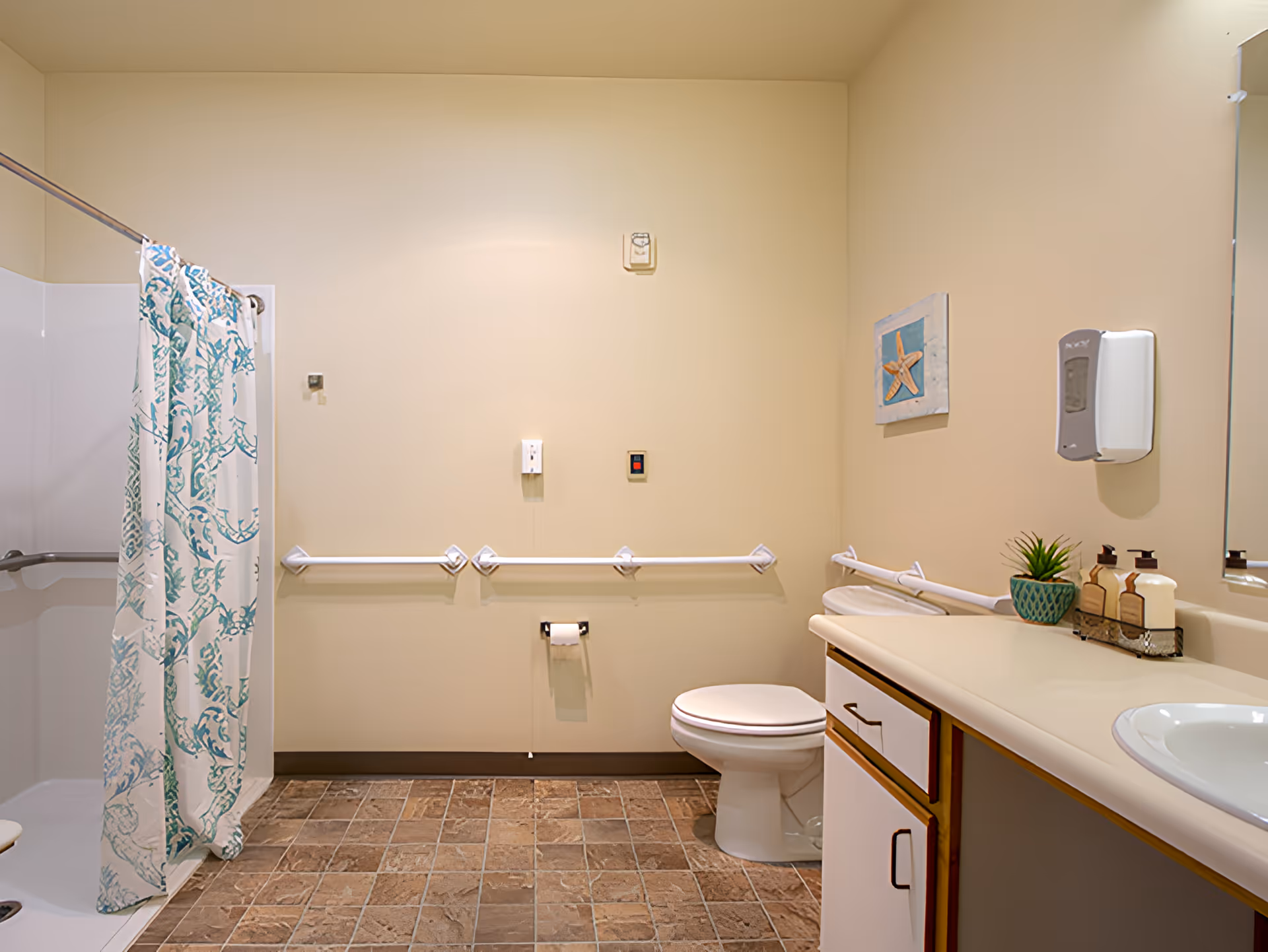 Accessible bathroom featuring a walk-in shower with patterned curtain, toilet with grab bars, and a sink countertop with soap dispensers.